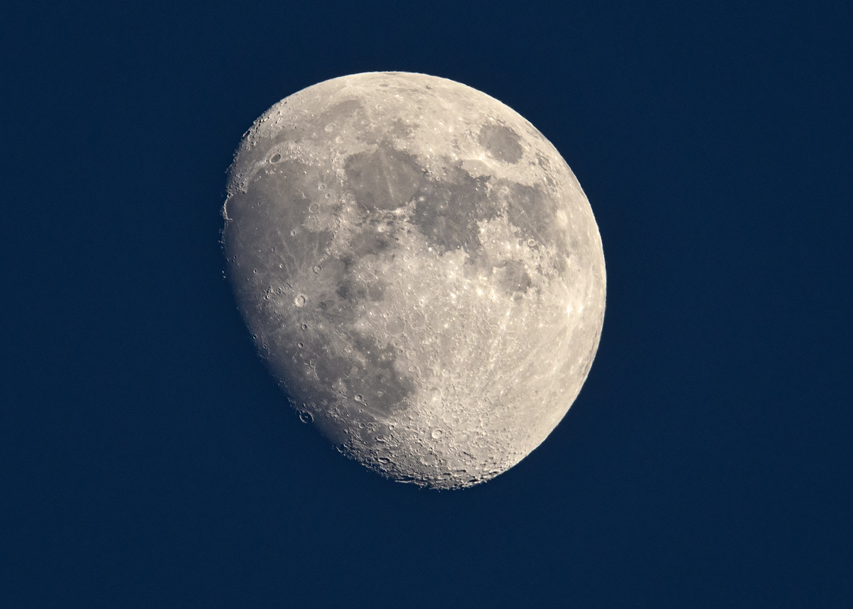 OF5_18241.jpg