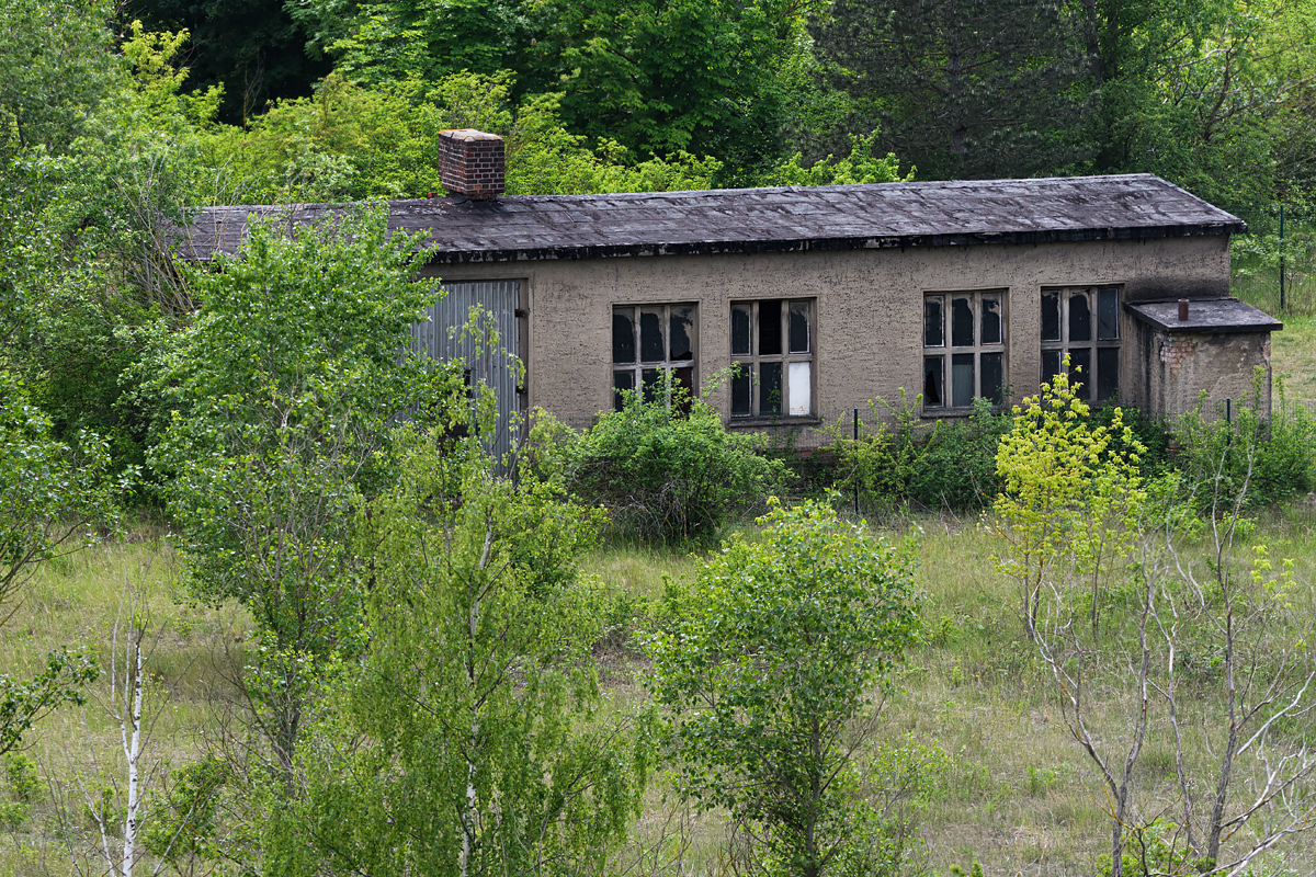 OF5_21331.jpg