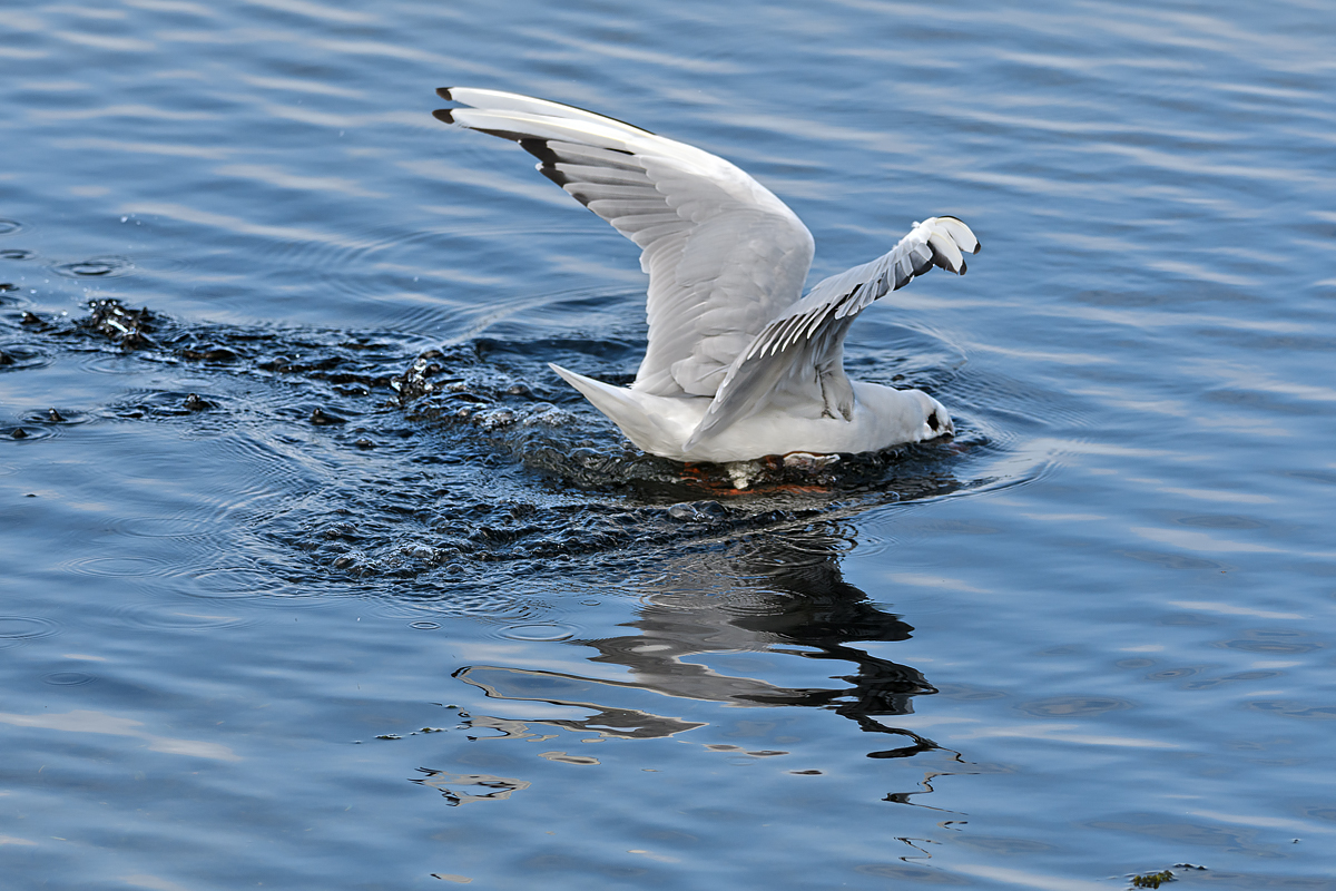 OF5_24787.jpg