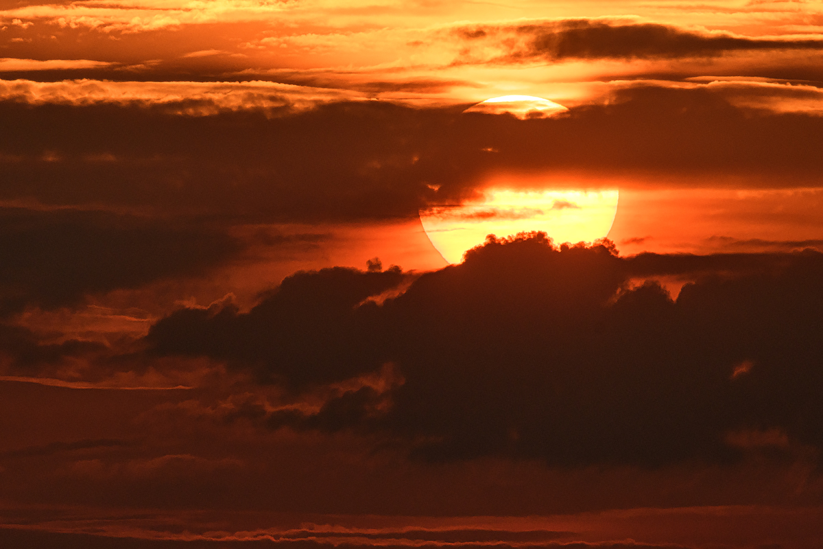 OF5_24809.jpg