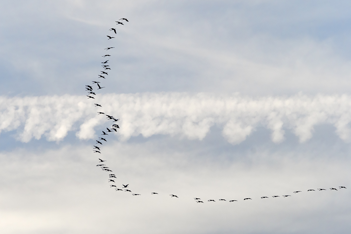 full