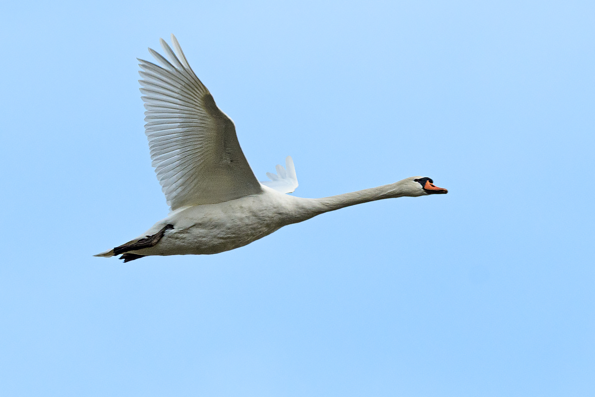 OF5_26753.jpg