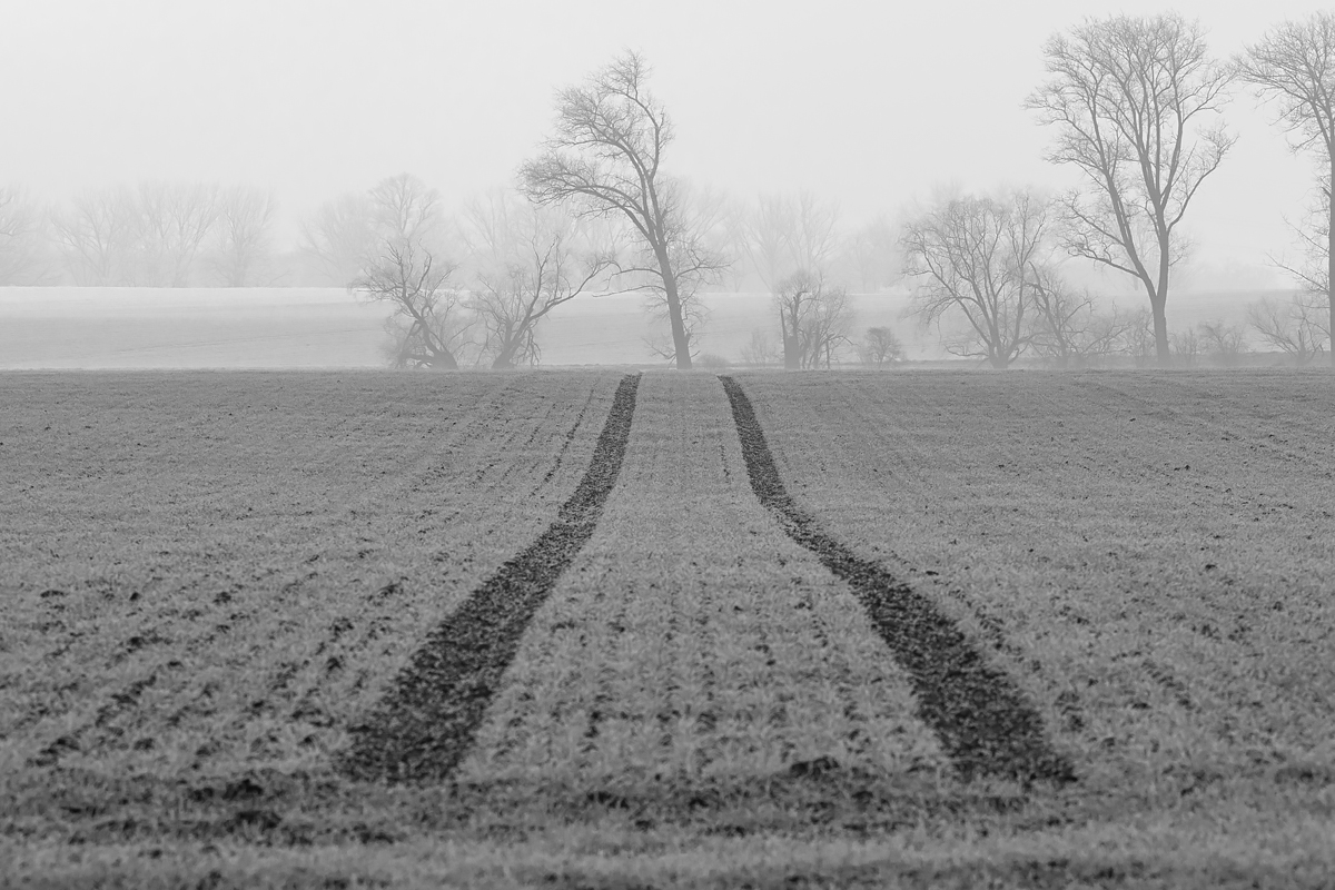 OF5_27250sw.jpg