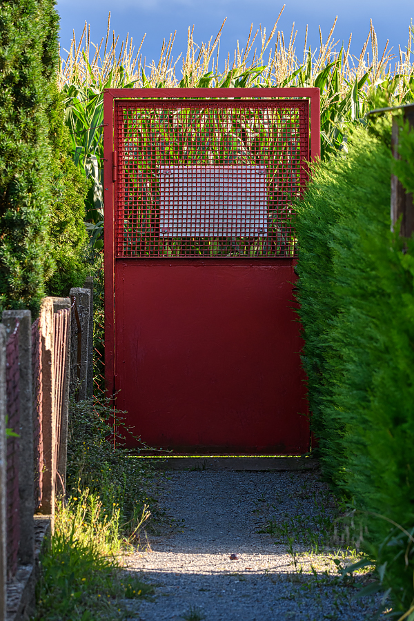 OF5_40457.jpg
