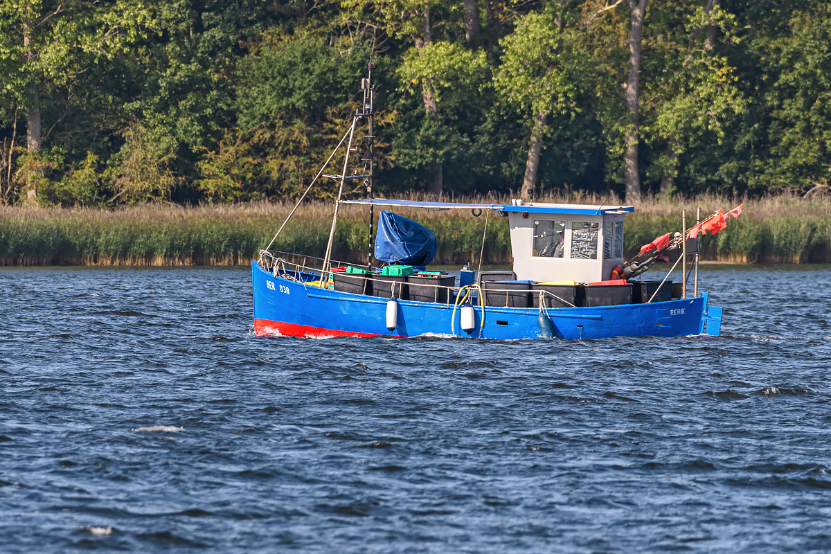 OF5_40915.jpg
