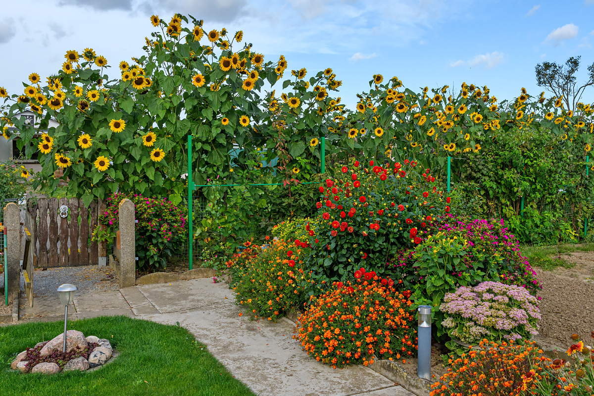 OF5_41524.jpg