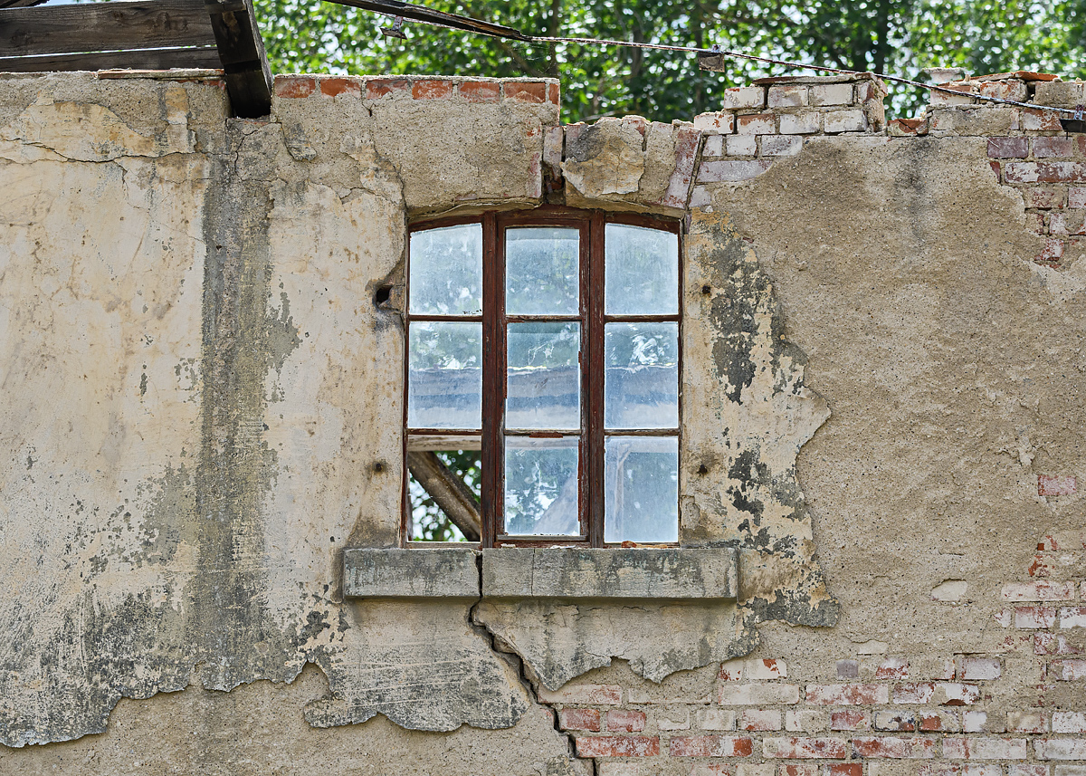 OF5_46041.jpg