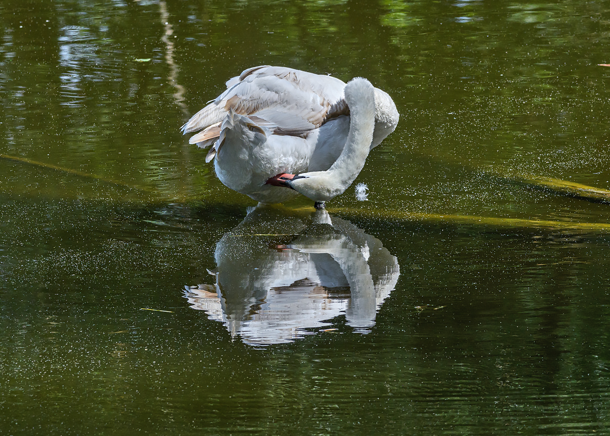 OF5_46435.jpg