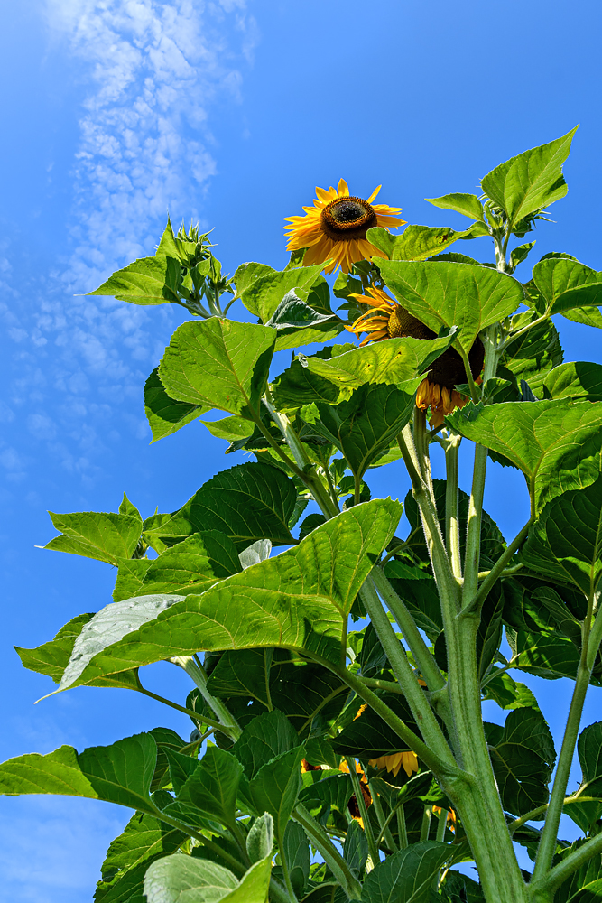 OF5_46449.jpg