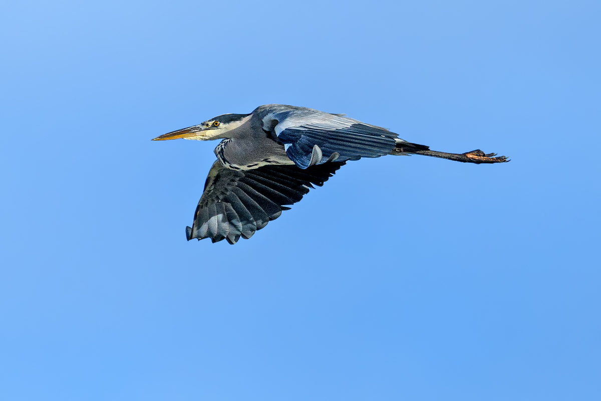 OF5_47003.jpg