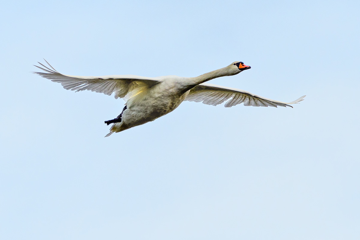 OF5_47026.jpg