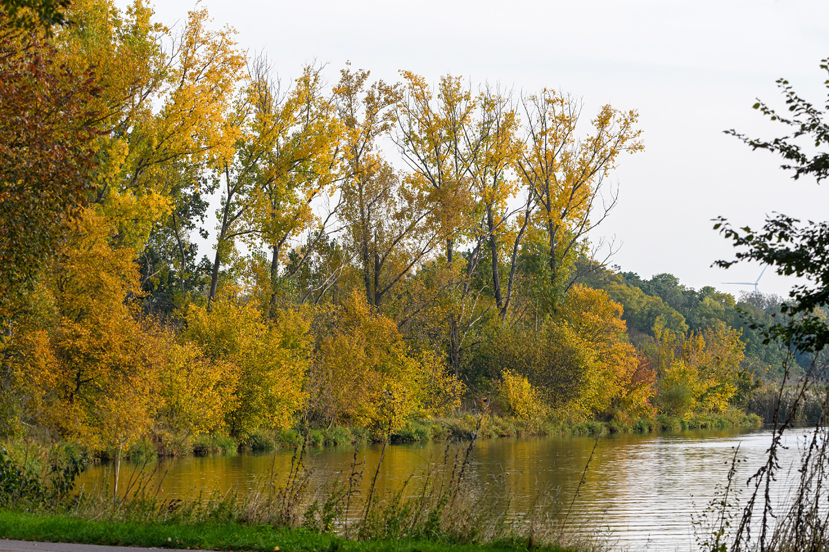 OF5_47140.jpg