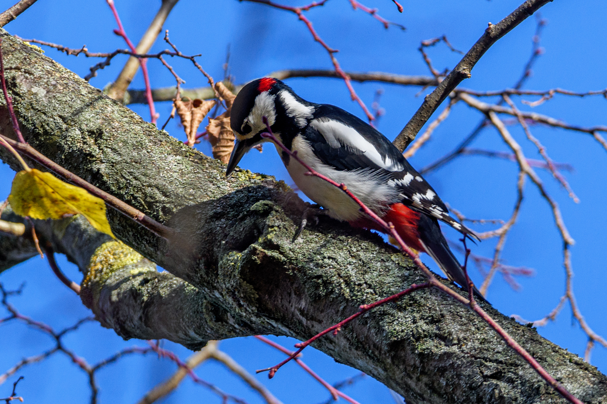 OF5_47419.jpg
