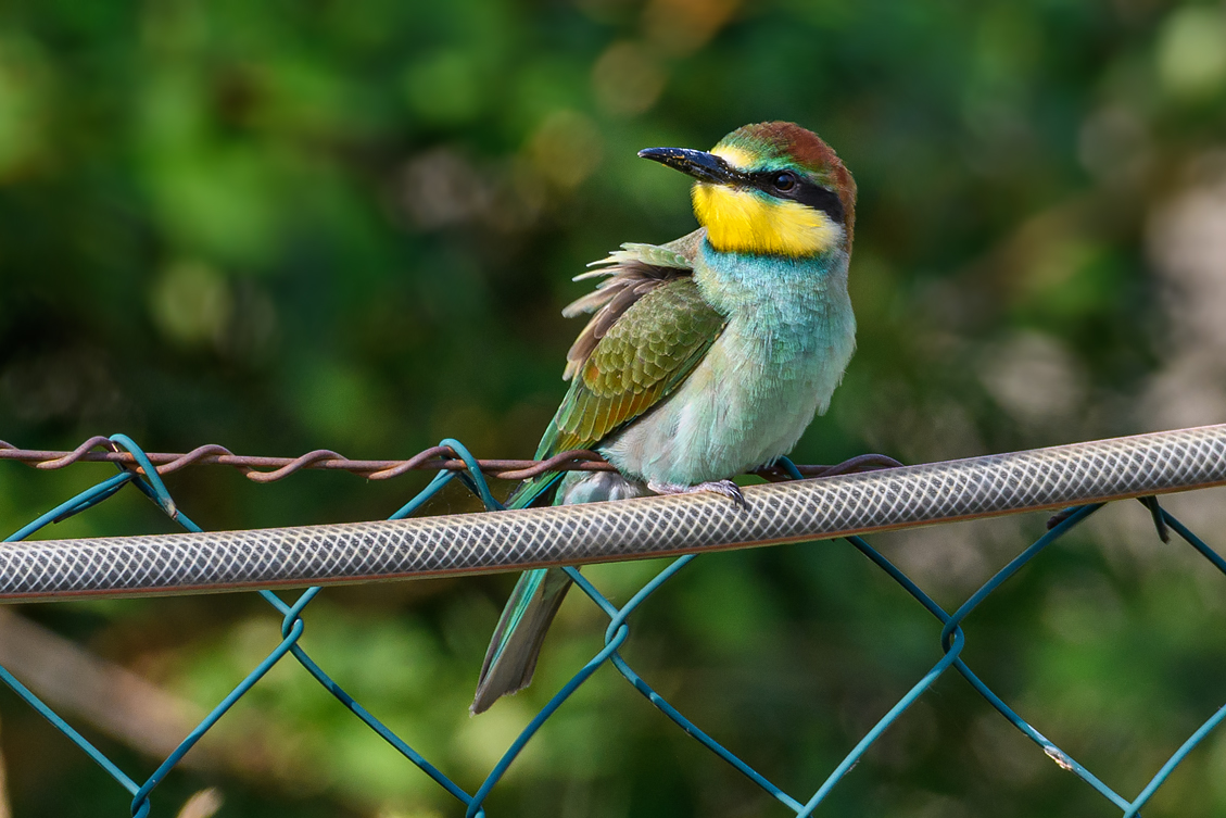 OF5_50641.jpg