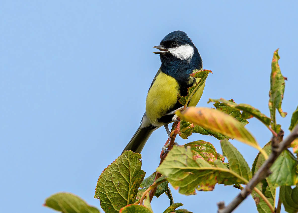 OF5_51477.jpg