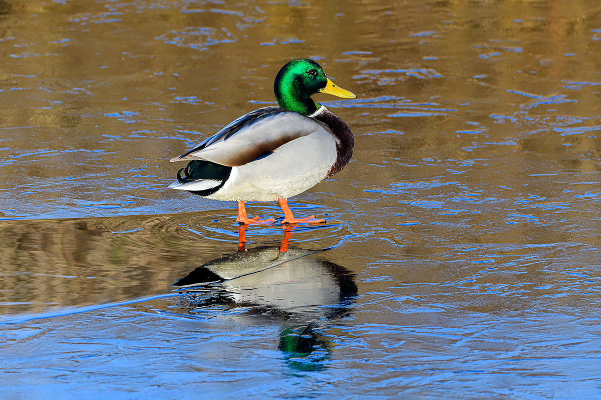 OF5_52551.jpg