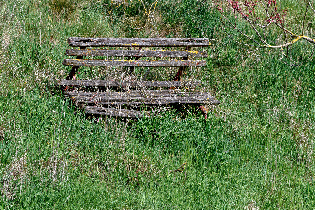 OF5_53610.jpg