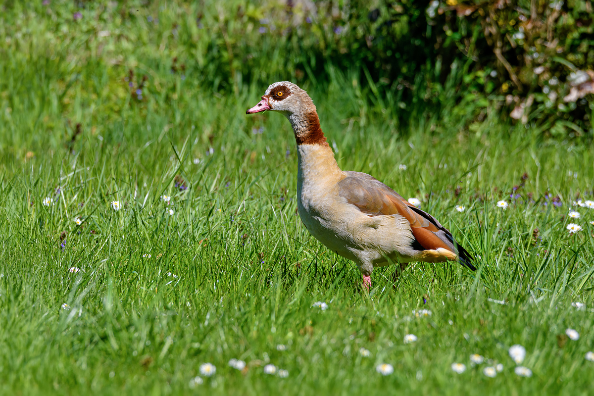 OF5_53809.jpg