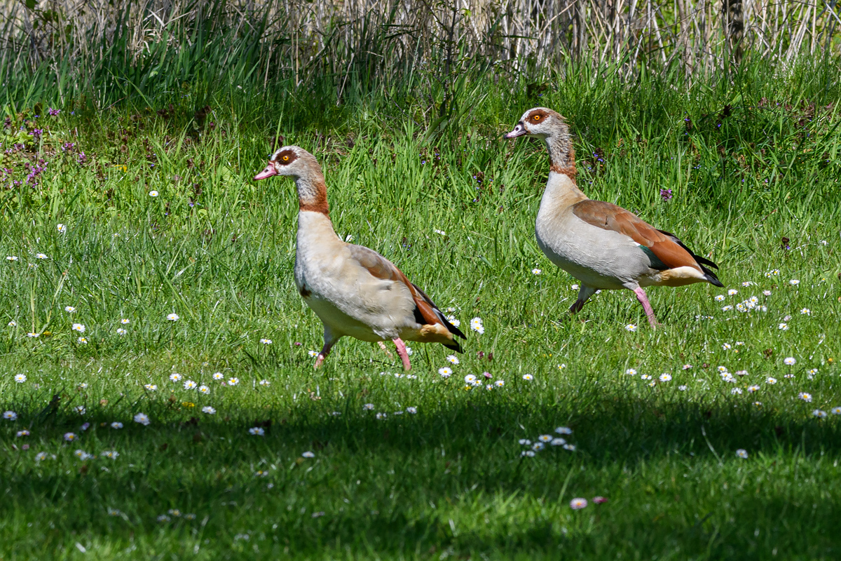 OF5_53811.jpg