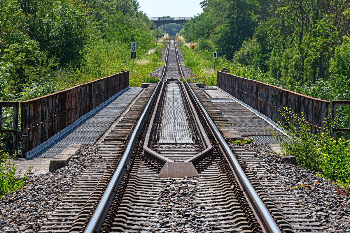 OF5_55173.jpg