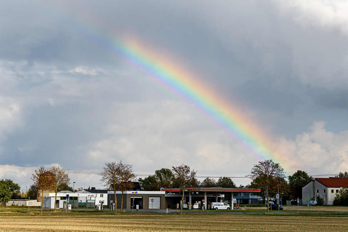 OF5_55950.jpg