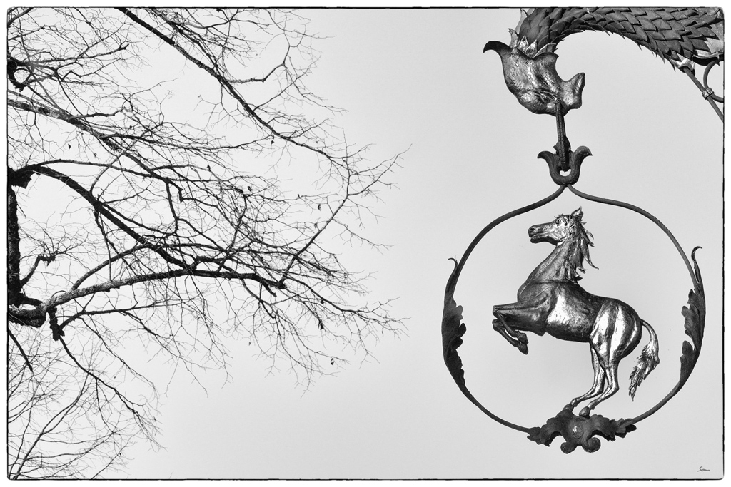 OffDSC 4009