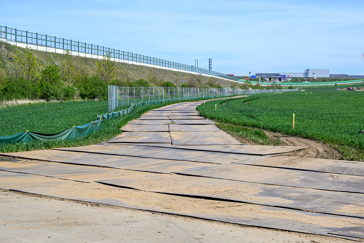 OFZ_00130.jpg