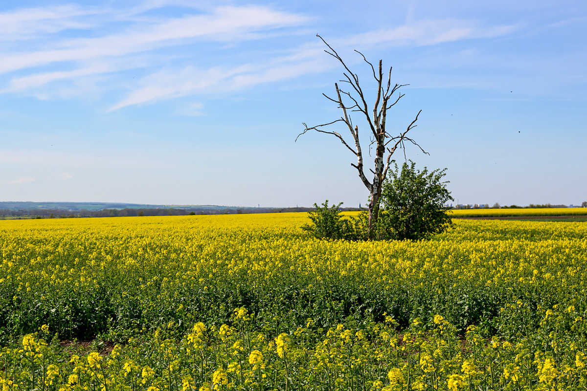 OFZ_00156.jpg