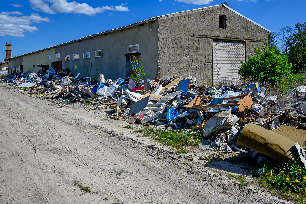 OFZ_00274.jpg