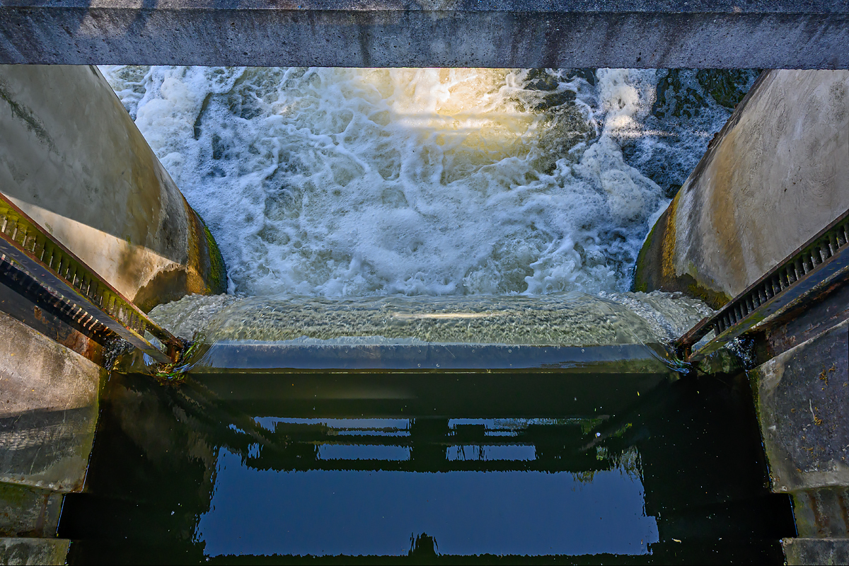 OFZ_00281.jpg
