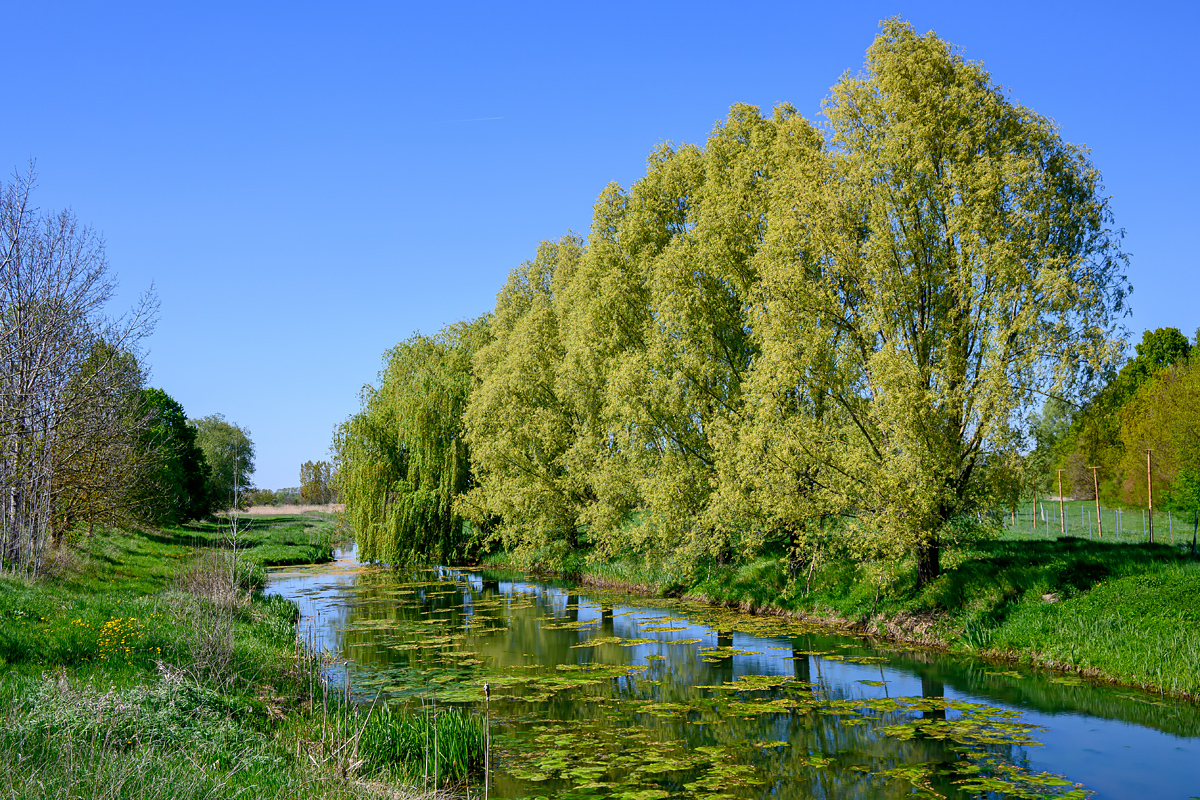 OFZ_00292.jpg