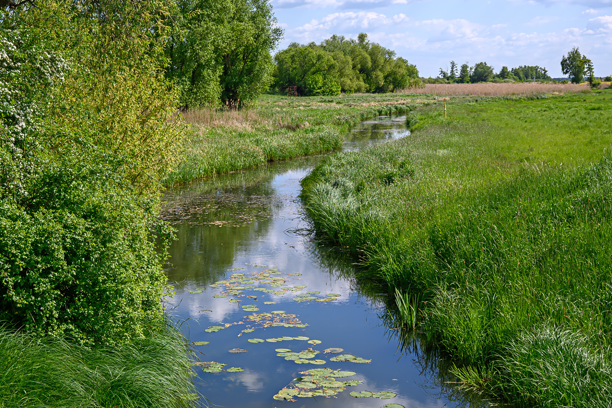 OFZ_00441.jpg