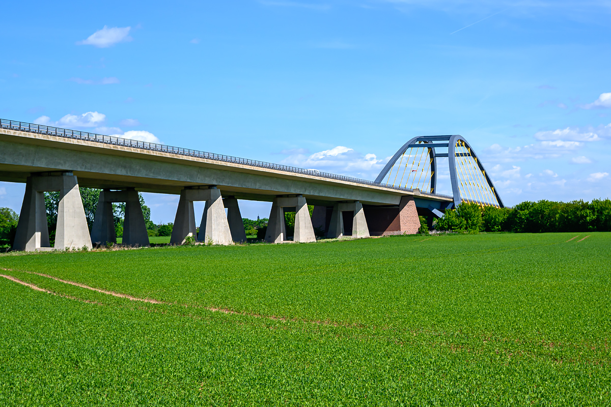 OFZ_00526.jpg