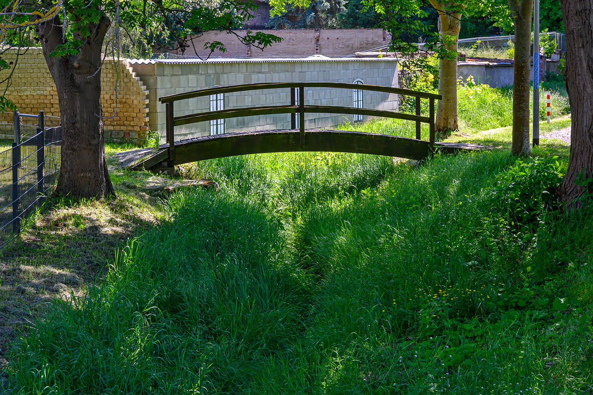 OFZ_00548.jpg