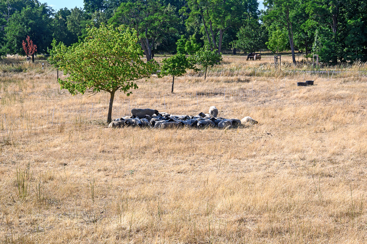 OFZ_01631.jpg