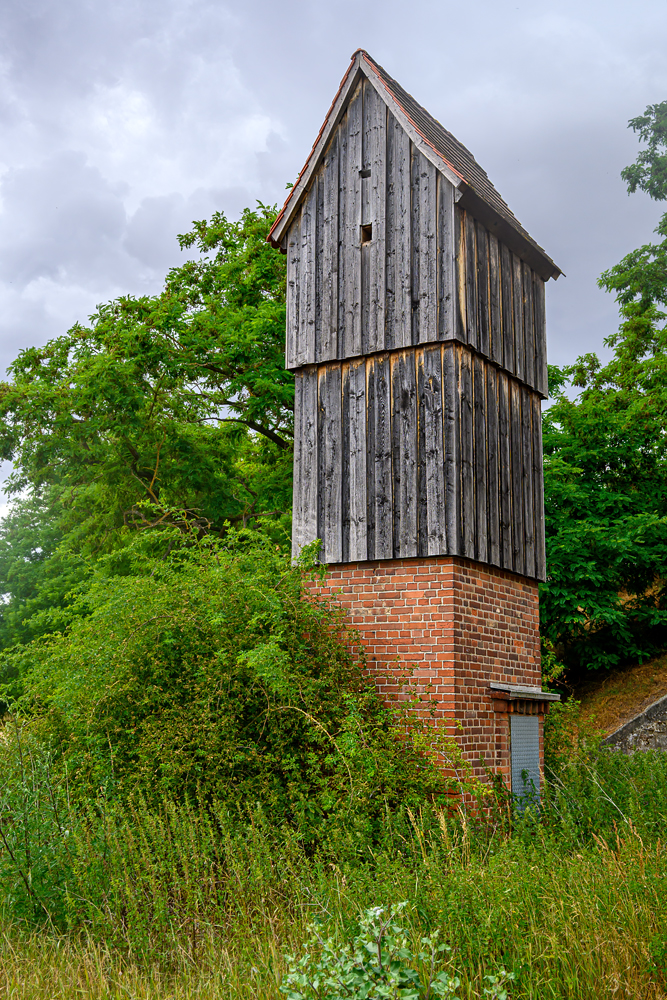 OFZ_01658.jpg