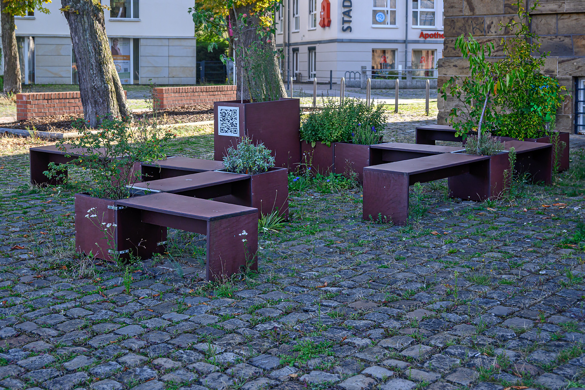 OFZ_01973.jpg