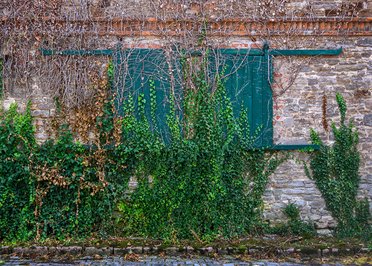 OFZ_02106.jpg