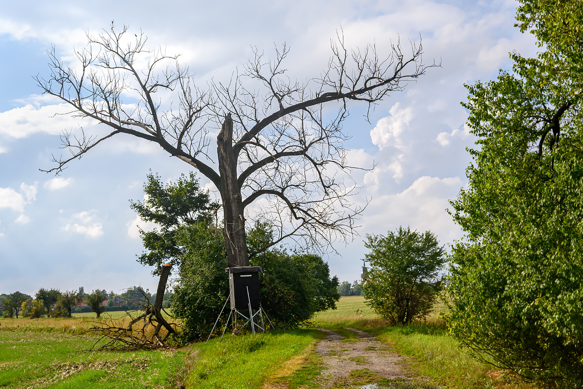 OFZ_02156.jpg