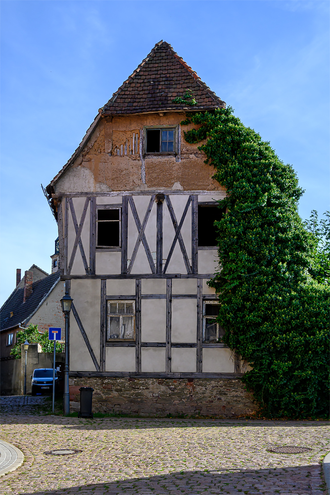 OFZ_02253.jpg