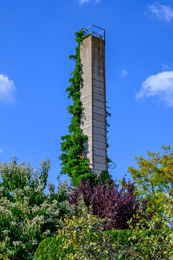 OFZ_02295.jpg