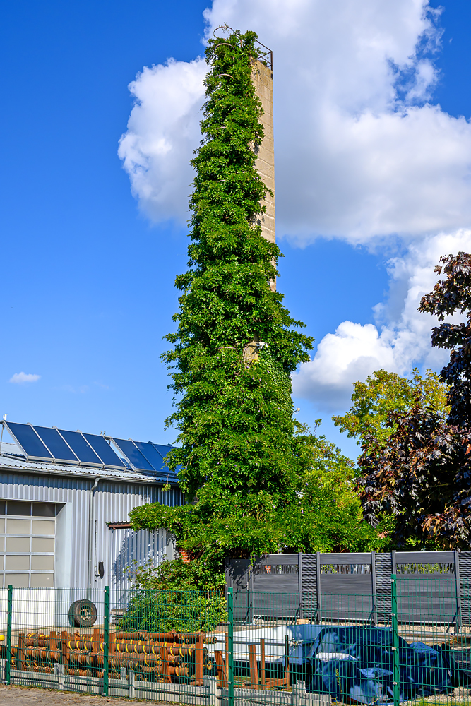 OFZ_02297.jpg