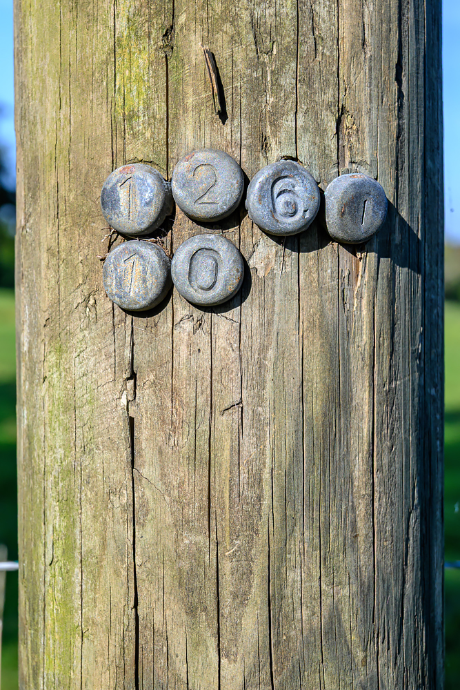 OFZ_02389.jpg