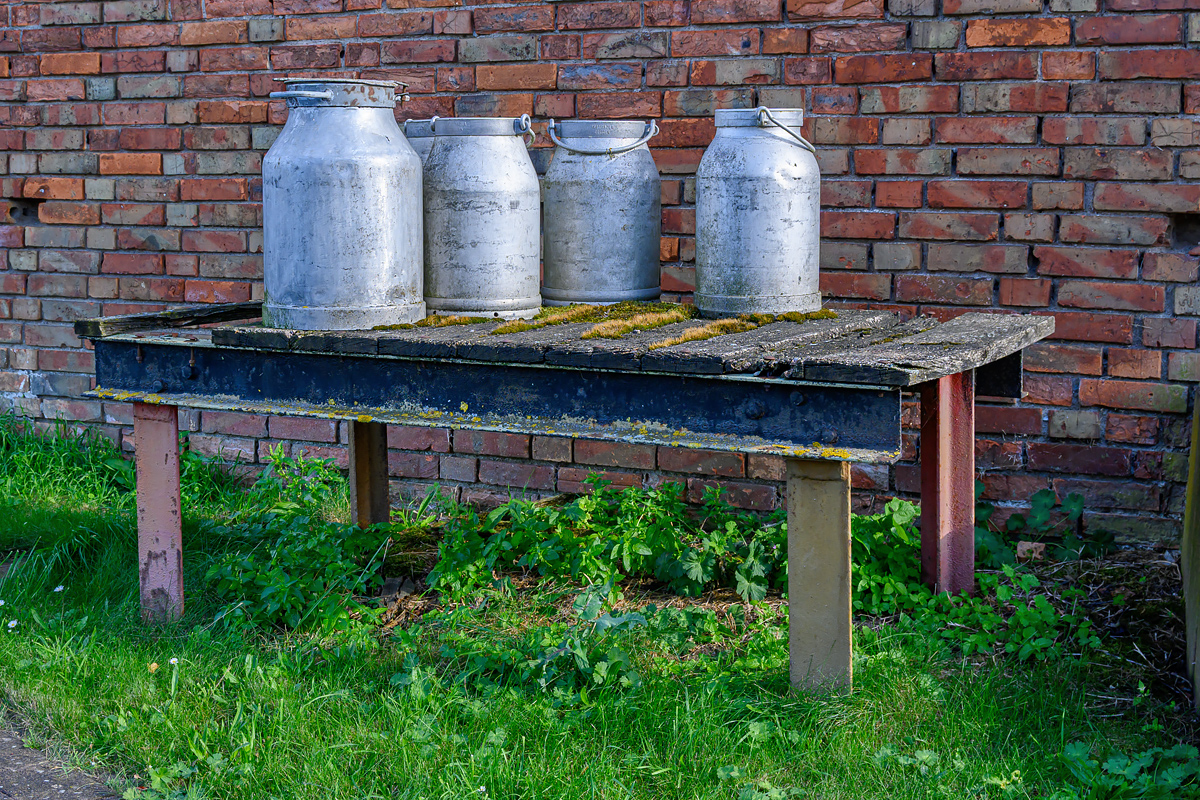 OFZ_02416.jpg