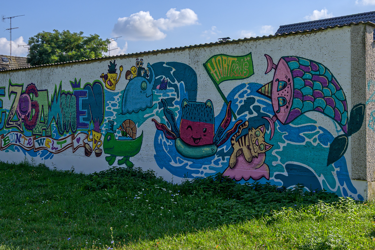 OFZ_02450.jpg