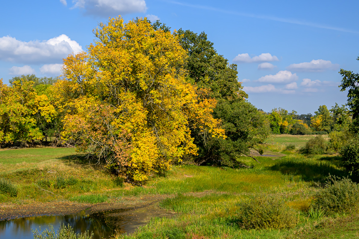 OFZ_02503.jpg