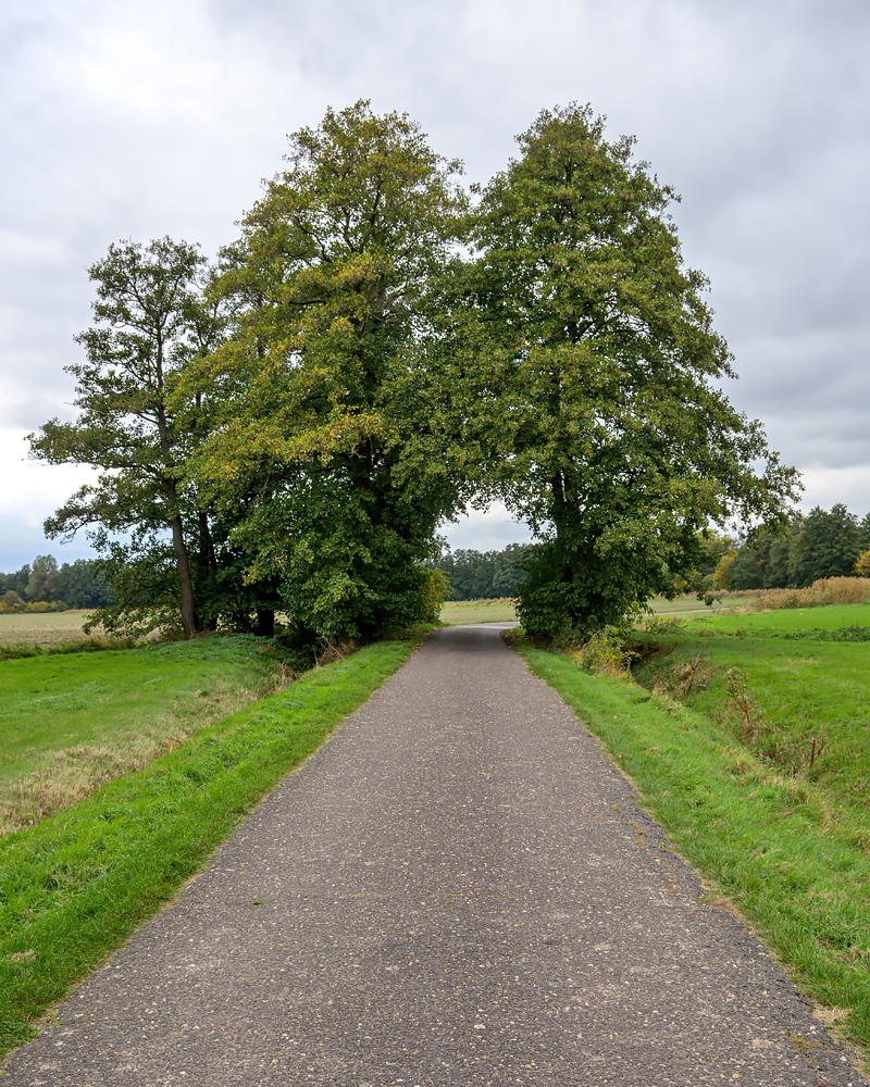 OFZ_02579.jpg