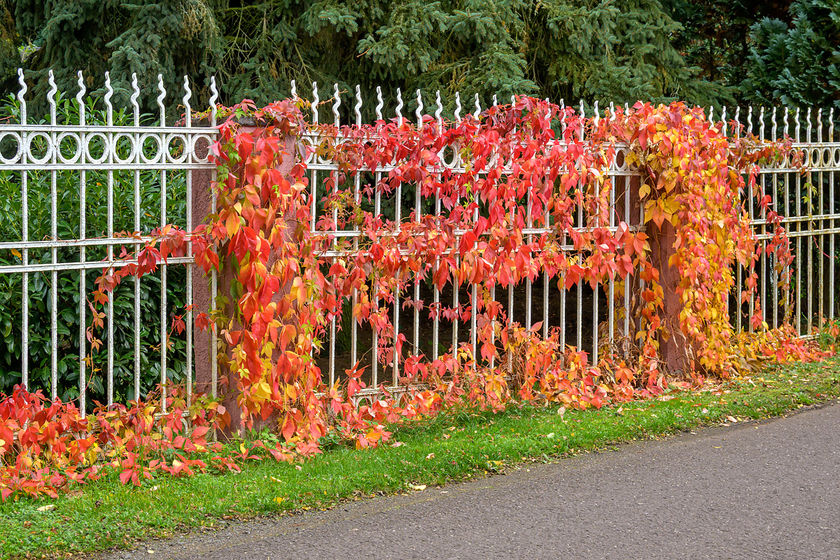 OFZ_02582.jpg