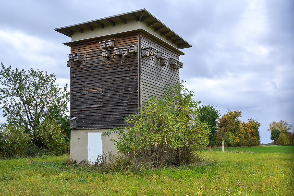 OFZ_02660.jpg