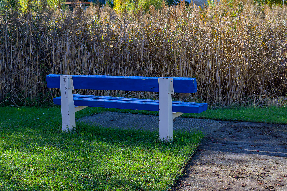OFZ_02708.jpg